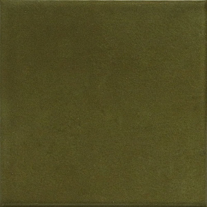 Pop Muschio Flat glossy 10x10